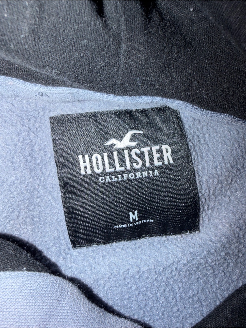 Hollister Fleece-Lined Hoodie in Black and Light Blue